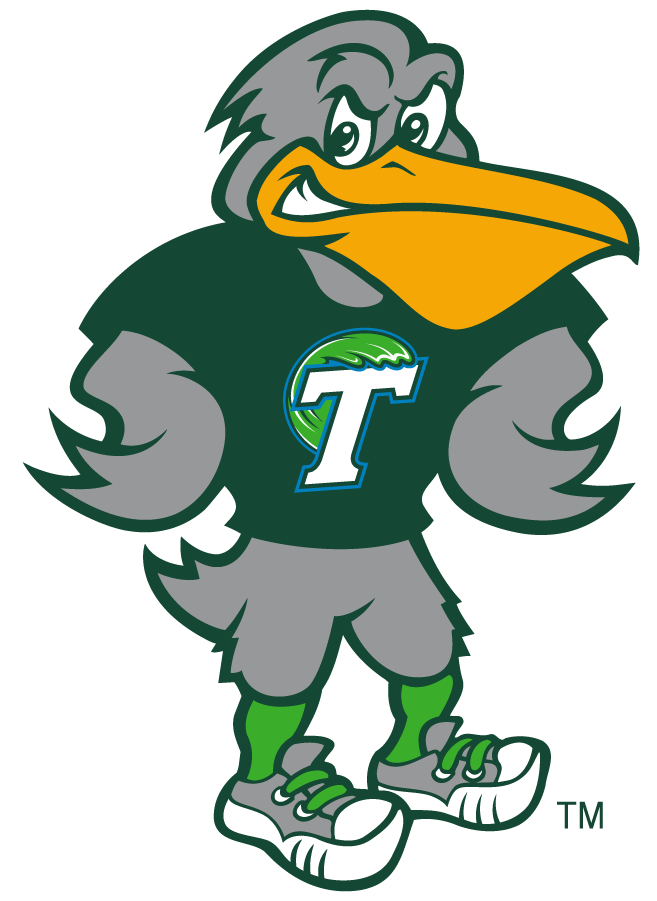 Tulane Green Wave 2014-2017 Mascot Logo DIY iron on transfer (heat transfer)